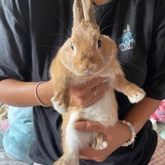 9ヶ月うさぎくん