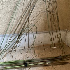 胡蝶蘭支柱