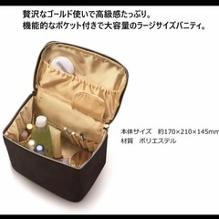 Foula バニティー ポーチ ゴールド  大の画像