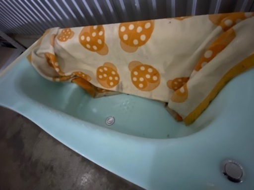 新品ユニットパス