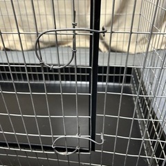 小動物用ゲージの画像