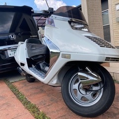 フュージョン　　再出品の画像