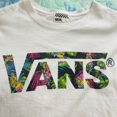 VANSレディース　半袖の画像