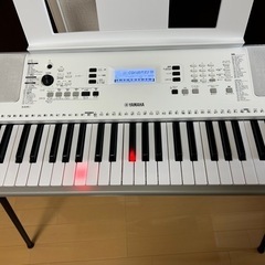 YAMAHA ヤマハ　EZ-300の画像