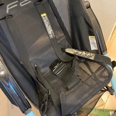 F2バギーの画像