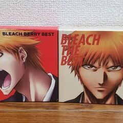 ブリーチアルバム２本セット