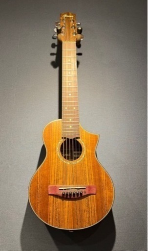 アイバニーズ　アコースティックギターEWP14WP