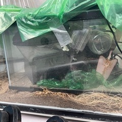 90cm水槽など　トカゲ　カナヘビ飼育に使用