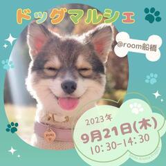 船橋夏見🐶ドッグマルシェ🐶