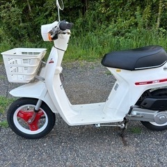 商談中　ホンダ | HONDA イブスマイル | EVE SMILE 原付50㏄旧車昭和の画像