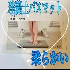ソフトタイプ 珪藻土バスマット 抗菌・抗臭 100％天然珪藻土粉末カバー2枚付きの画像