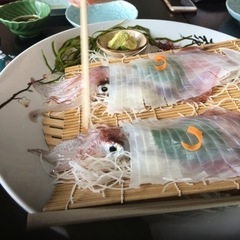 釣り仲間募集中です。 - 関市