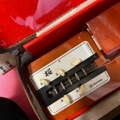 大正琴　桜の画像