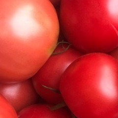 ✨久万高原産🍅トマト🍅