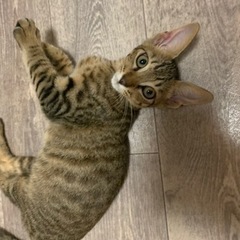 生駒郡平群周辺