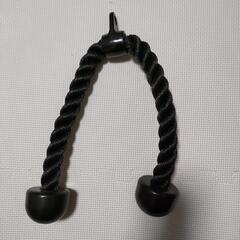 インスパイアフィットネス　Inspire Fitness FTX Functional Trainer FTX-FLB2の画像