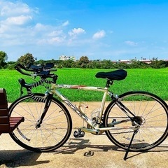 手渡し限定 フェルト FELT エフ75 F75 ロードバイク 50サイズ ホワイトの画像