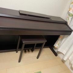 CASIO AP-21