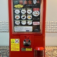 ガチャガチャ本体　ポップ付き昆虫食50個