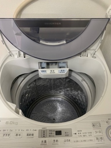 2019年式洗濯機