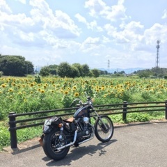 いよいよ夏風を探しに🛵…🏍…🏇… - メンバー募集