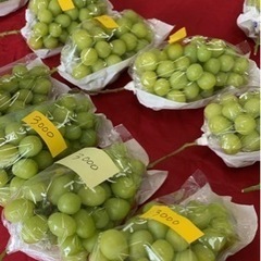 シャインマスカット販売 - 地元のお店