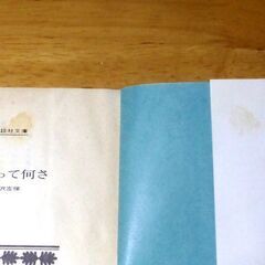 【文庫古本】笹沢佐保「結婚って何さ(第1刷)」講談社文庫・・・必死の逃亡者となった元OLが、恐るべき謎の殺人事件を解く・・・の画像