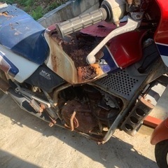 ホンダmvx250f！低走行！ジャンク　クランキングok! 配達可能！の画像