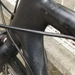 ブラックキャットサイクルズの画像