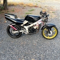 616. 動画あり　ホンダ　NS-1  エヌワン　原付　バイク　50cc   車体　埼玉の画像