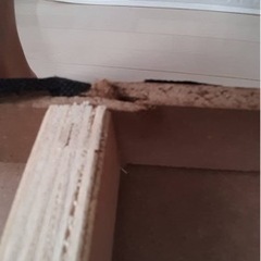 ダブルベッドの画像