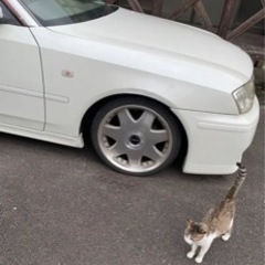 日産 y34 セドリック 車検無し グロリア 部品取りの画像