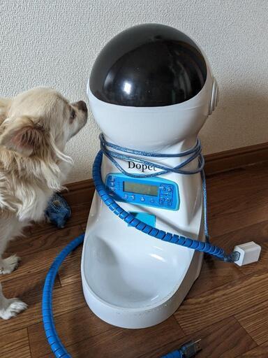 犬猫 自動給餌器 ペット