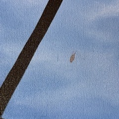 バリ島 バリ 絵画 風景画 ビーチ 絵 油絵 大判 イラストの画像