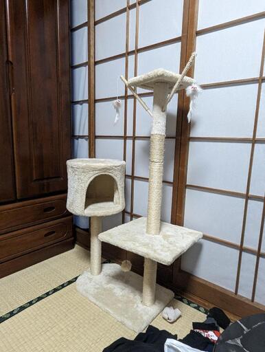 キャットタワー