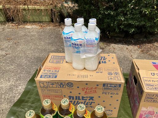 イベント幹事さん必見!夏祭り飲み物在庫処分品　一括購入限定