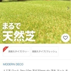 人工芝  『決まりました』