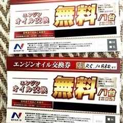 【大セール】2枚セットがお得！！即購入大歓迎！1枚売りもOK！