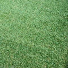 リアル人工芝 枯れた芝も表現した本物に近い風合い