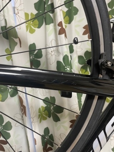 giant contend2