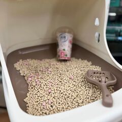 ねこちゃんトイレ（新古）の画像