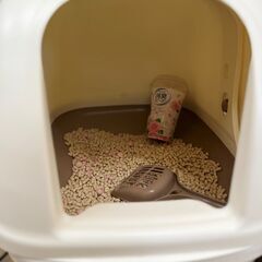 ねこちゃんトイレ（新古）の画像