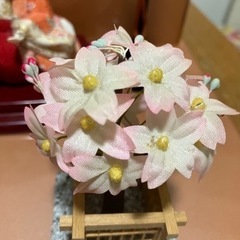 お雛様の画像