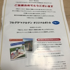 フルグラ ナルゲン 広口ボトル １ℓ Tritanの画像