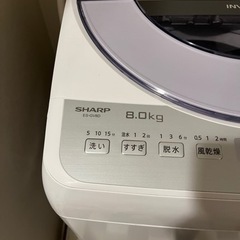 2020年製　SHARP  洗濯機（縦型）の画像