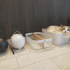 【未使用品あり】【IKEA】【 ニトリ】 リーサトルプ ヴァリエ...