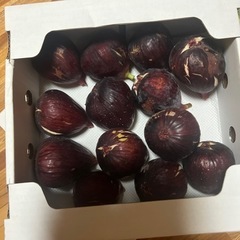 激安⭐️完熟いちじく②