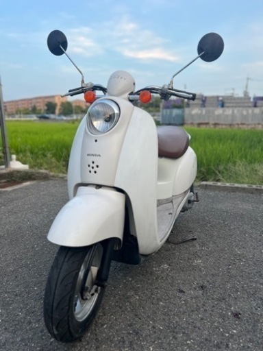 ホンダスクーピーシート貼り替え済み (Kitty) 堺のバイクの中古