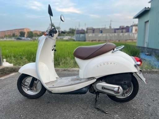 ホンダ　スクーピー　シート貼り替え済み