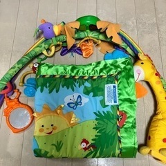 fisher price ベビージム　プレイマットの画像